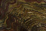 Polished Tiger Iron Stromatolite Slab - Billion Years #351977-1